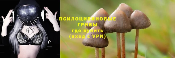 СК Беломорск