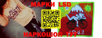 индика Аргун