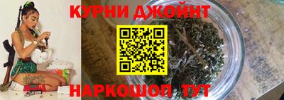 индика Аргун