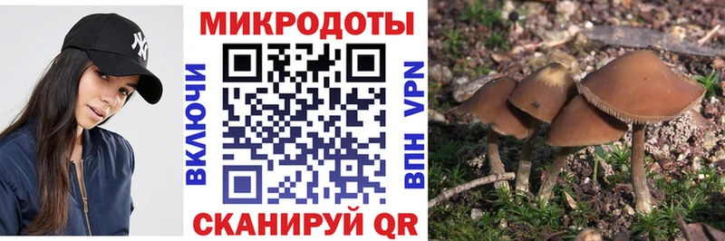 Галлюциногенные грибы Psilocybine cubensis mega зеркало Борисоглебск