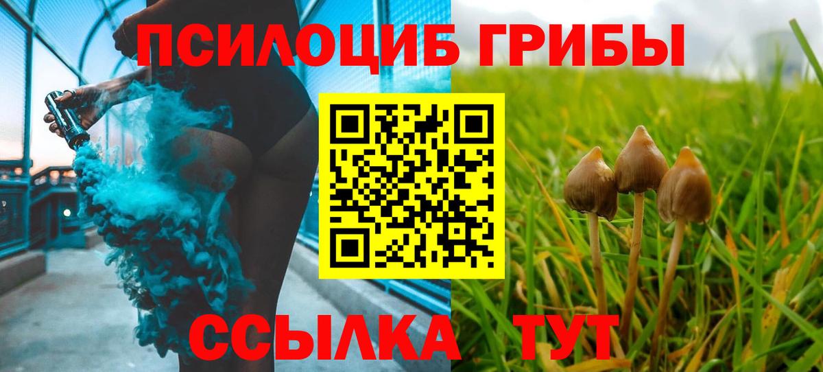 Борисоглебск  Псилоцибиновые грибы GOLDEN TEACHER  Галлюциногенные грибы Psilocybine cubensis  наркотики  Вход с VPN 