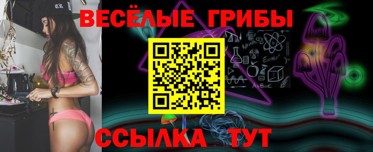Галлюциногенные грибы Cubensis Борисоглебск
